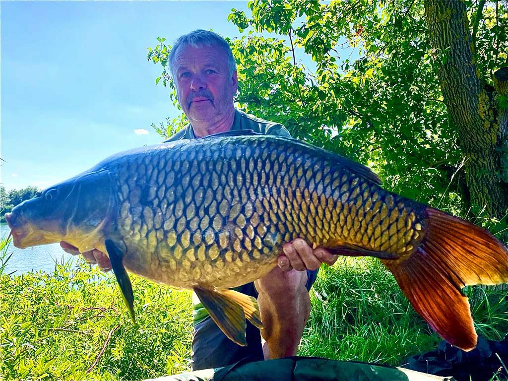 Georg Koppen Schuppenkarpfen 77 cm 20 Pfund Ulrichsee