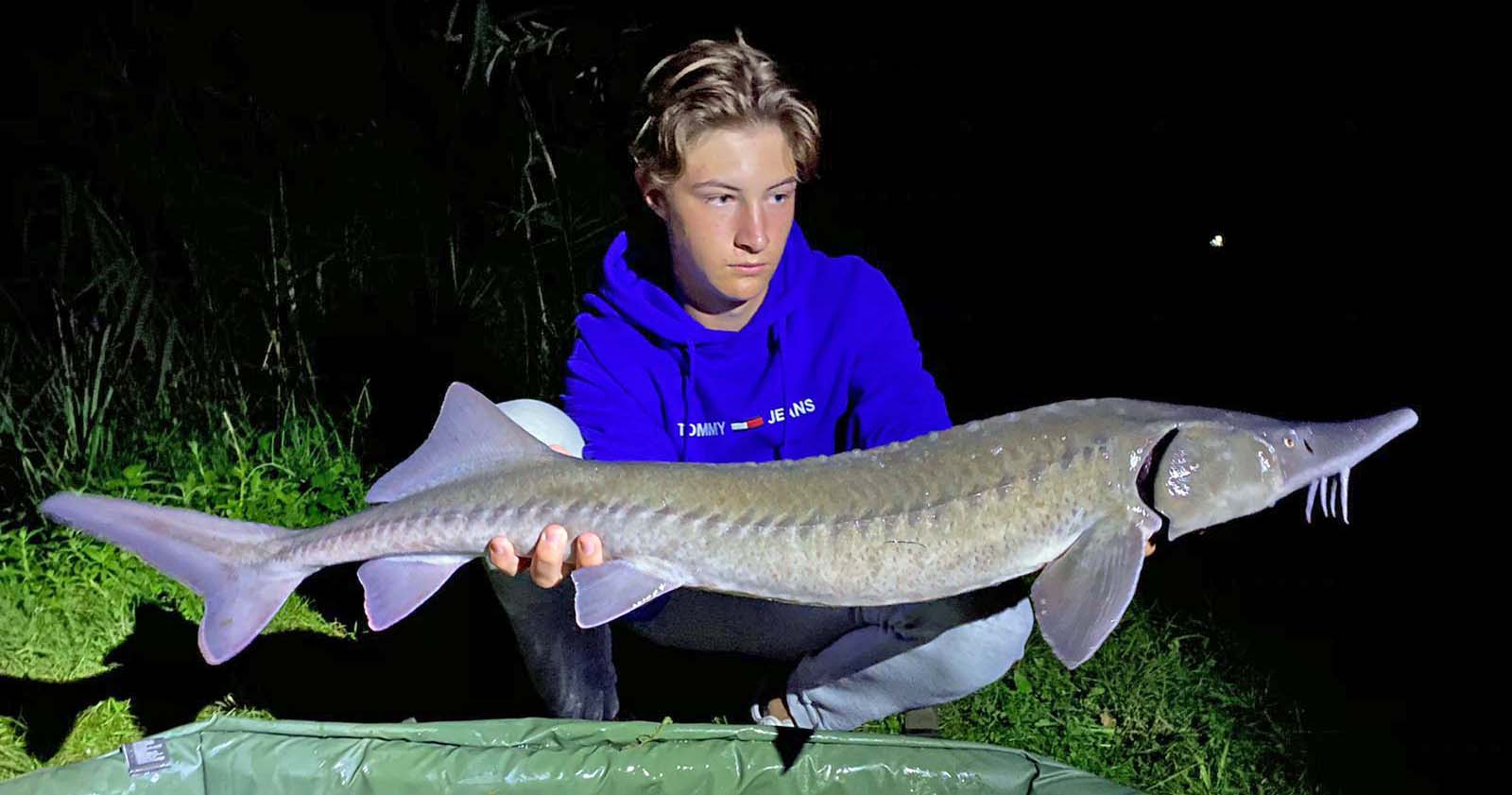 Marcel Kilian Stör 107 cm Ulrichsee