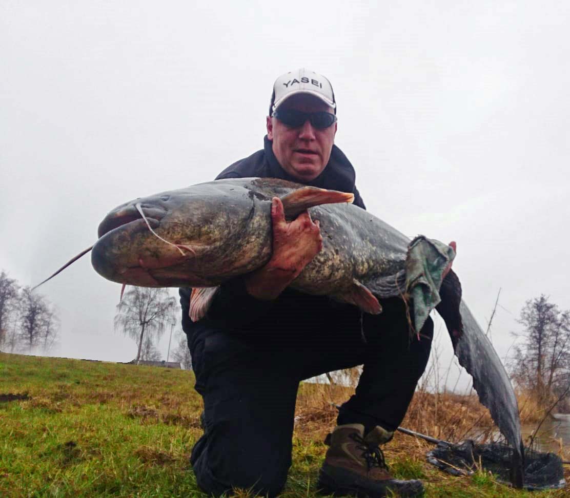 Herrmann, Waller 172 cm 36,3 kg Wörnitz