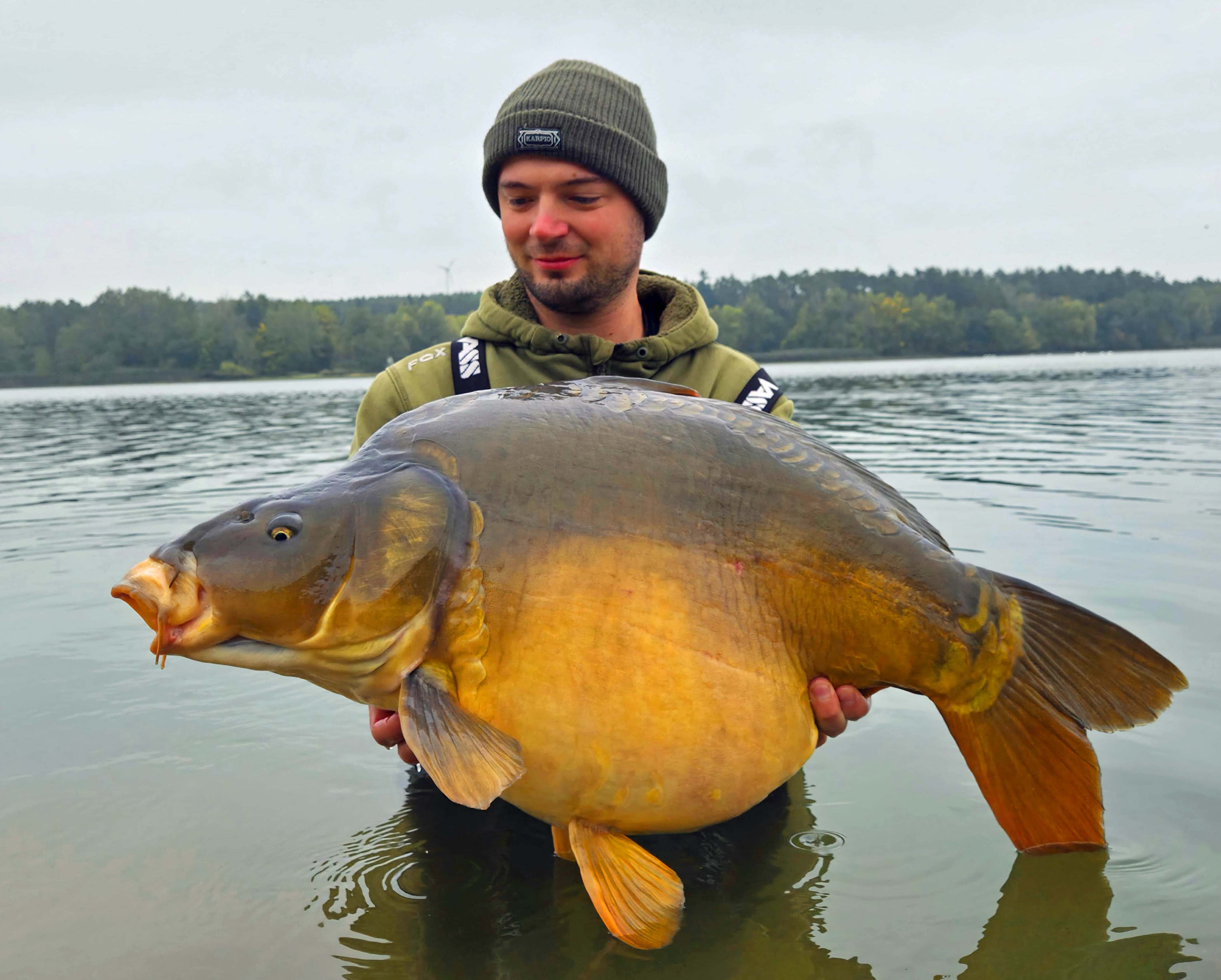 Thomas Lanzendörfer Karpfen 80 cm 16,5 kg Rothsee