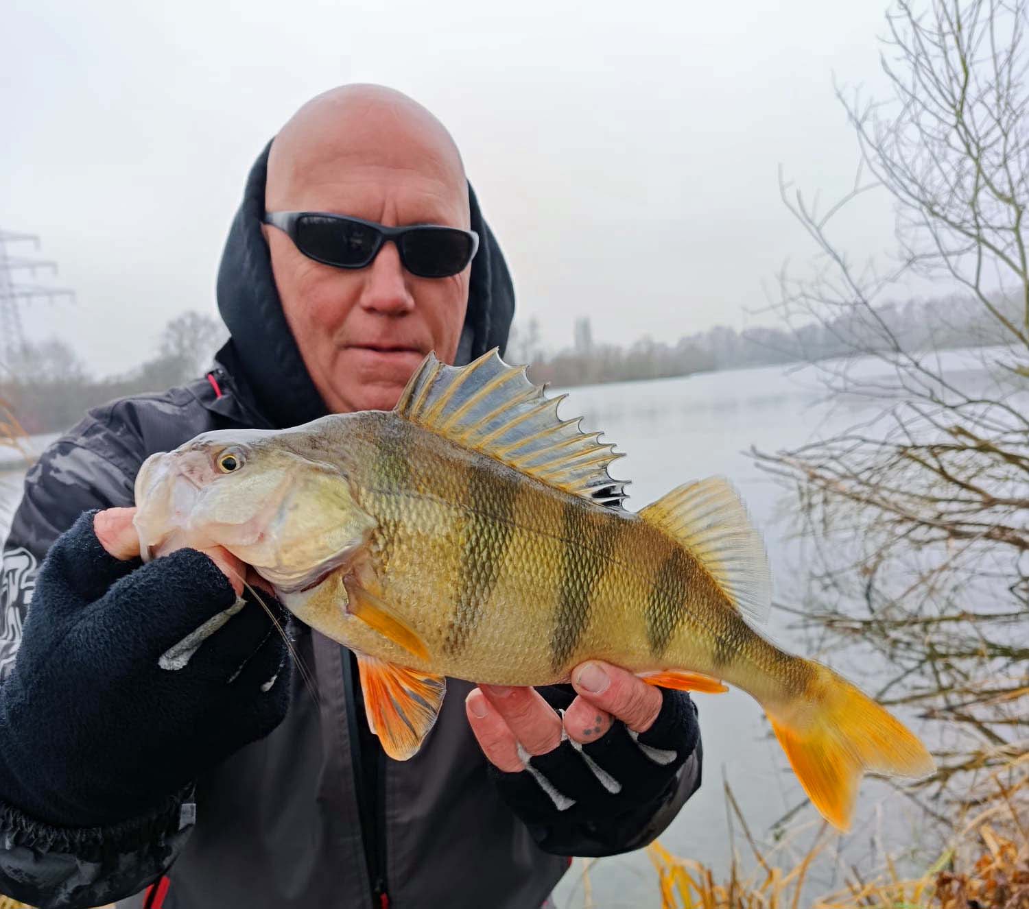 Thomas Herrmann Barsch 36 cm 650g Ulrichsee.