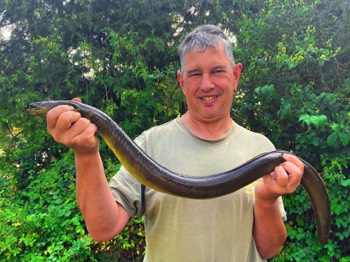 Peter Rösch jun. Aal 95 cm 1,4 kg Regnitz